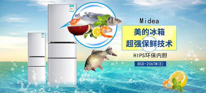 第一薬科大学会计文凭证书
